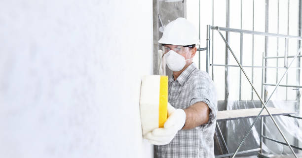 Best Black Mold Removal  in Livonia, MI